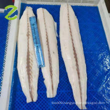 Frozen Oilfish Fillet Skinless (Ruvettus Pretiosus)  Rough Skin